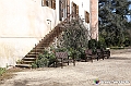 VBS_0581 - Messer Tulipano 2026 - Inaugurazione
